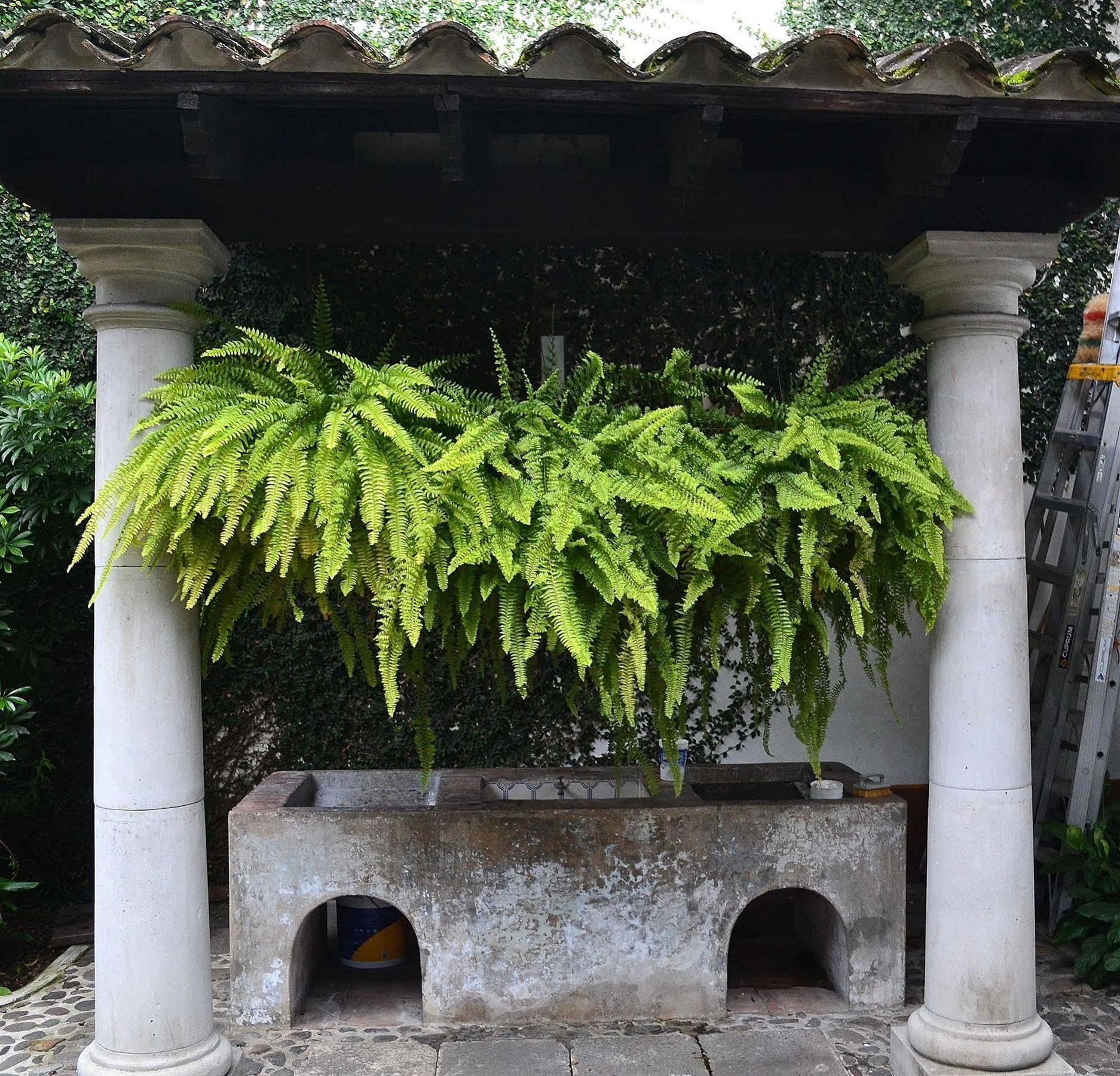 Meson Del Alferez Coatepec Hotel Coatepec  Exterior photo